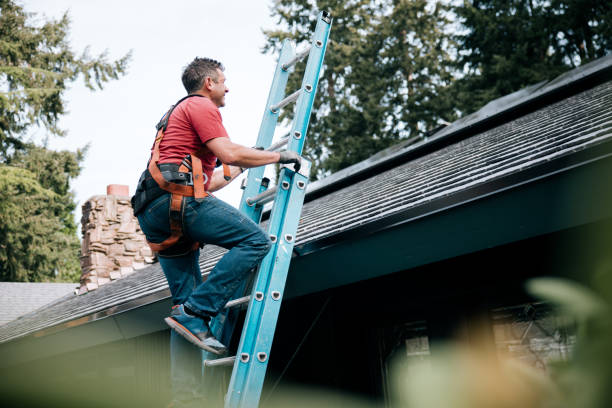 Best Rubber Roofing (EPDM, TPO)  in Battle Mountain, NV